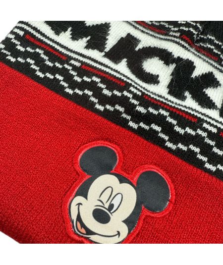 Mickey Hat