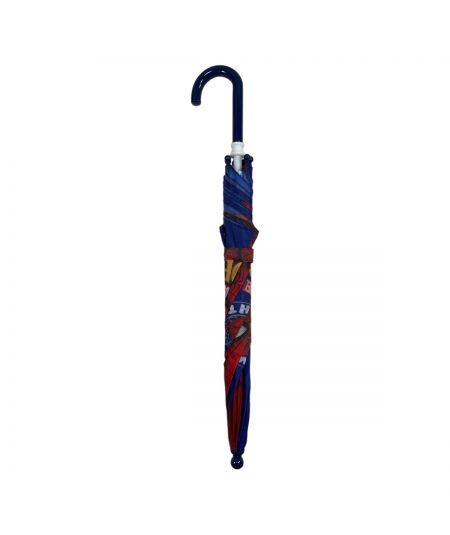 Spiderman Umbrella