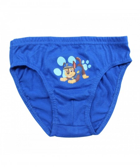 Lot de 3 slips paw patrol.