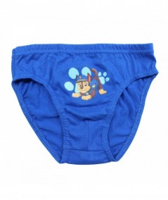 Lot de 3 slips paw patrol.