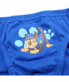 Lot de 3 slips paw patrol.