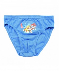 Lot de 3 slips paw patrol.