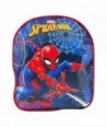 Sac Spiderman 30cm