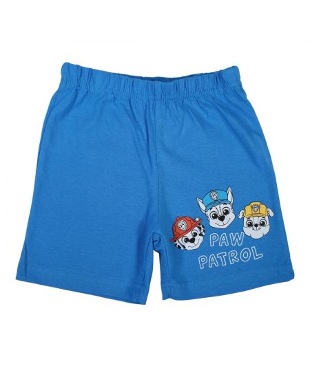 Paw Patrol Boy Set