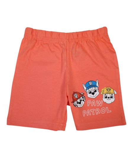 Paw Patrol Boy Set