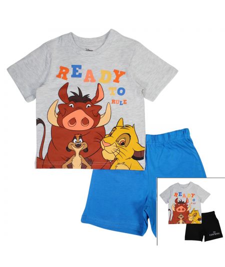 Conjunto para niños de El Rey León