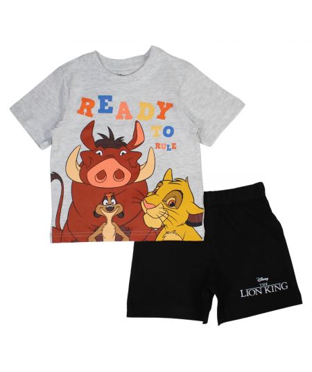 Conjunto para niños de El Rey León