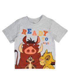 Conjunto para niños de El Rey León