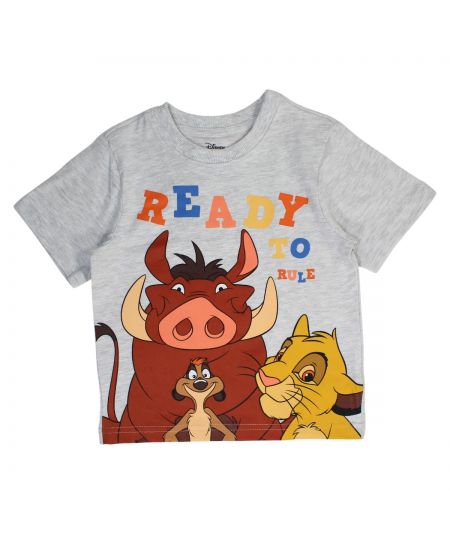 Conjunto para niños de El Rey León