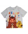 Conjunto para niños de El Rey León