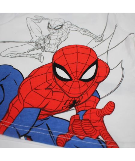 Spiderman Boy Set