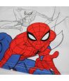 Spiderman-Jungen-Set