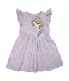 Frozen Girl Dress