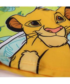 Boy's Lion King Swim Trunks