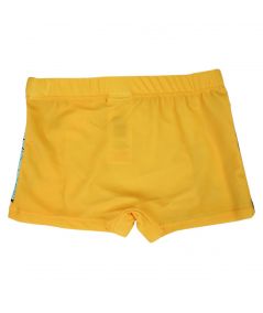 Boy's Lion King Swim Trunks