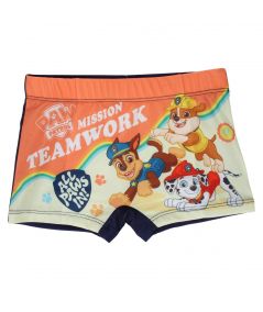 Boy's Paw Patrol Swim Trunks