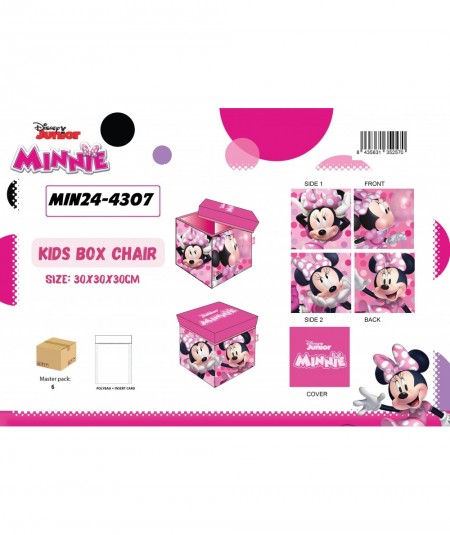 Boîte de rangement Minnie