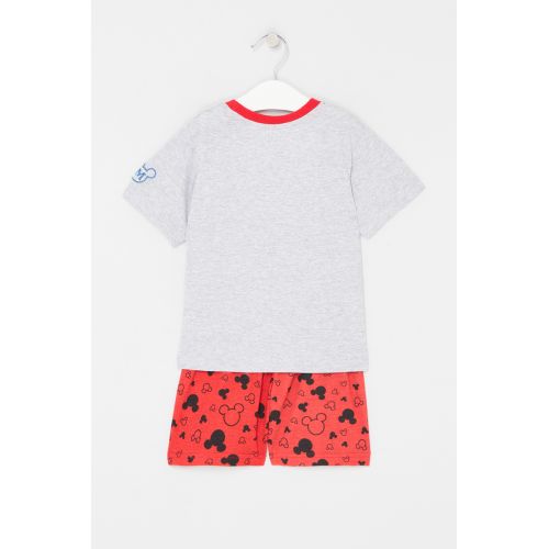 Ensemble Mickey