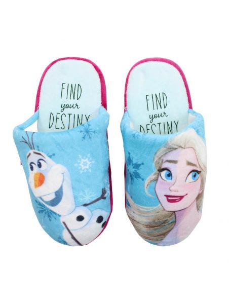 Frozen Slipper