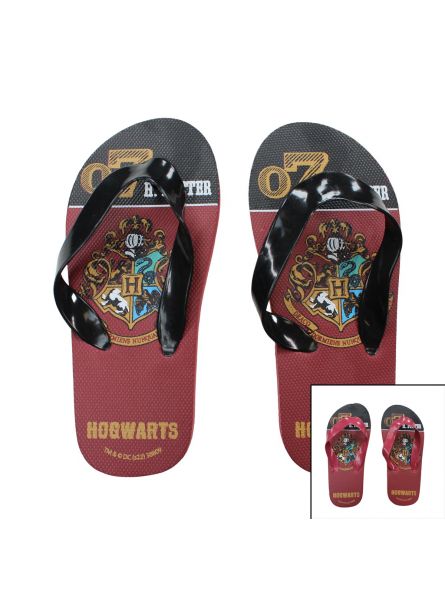 Harry Potter Chanclas