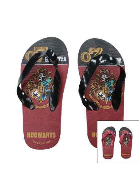 Harry Potter Chanclas