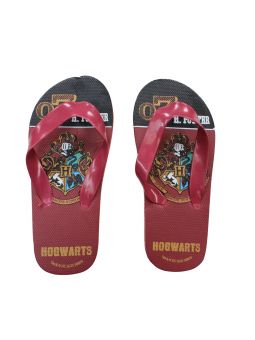 Harry Potter Chanclas