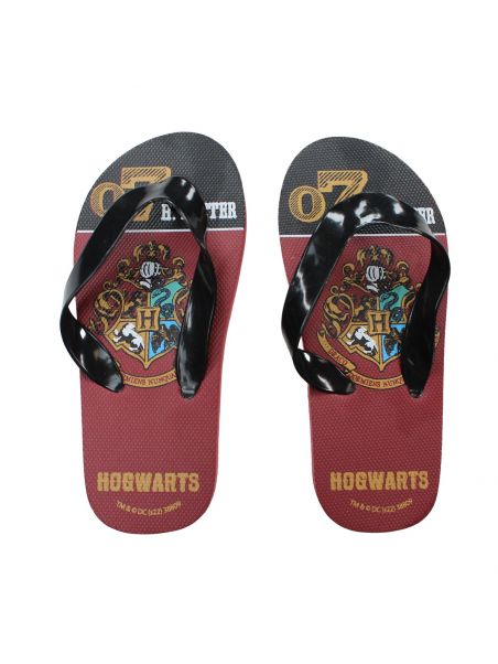 Harry Potter Chanclas